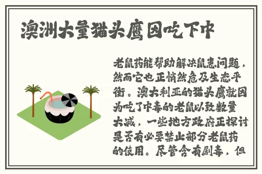 国产未成女YOUNV仙踪林